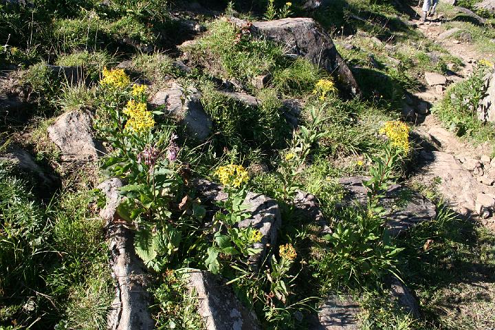 Bergwanderung auf den Hohen Freschen